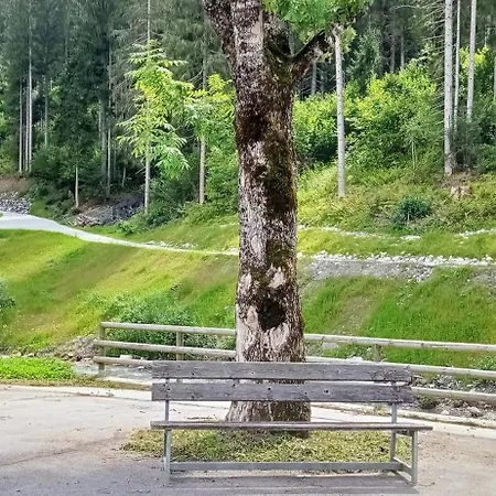 Calella Vacanze Dolomiti شقة *